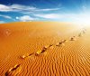 Footprints-on-sand-dune-Sahara-Desert-Algeria-Stock-Photo-footprint.jpg