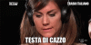 TestaDiCazzo.gif