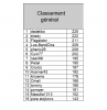 classement général après journée 20.png