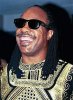 Stevie_Wonder_1994.jpg