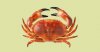 upload_2025-3-18_16-59-59.jpeg