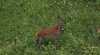 upload_2025-4-6_14-34-53.jpeg