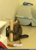 upload_2025-7-19_13-45-8.jpeg