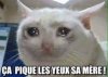 images (7).jpeg