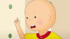 upload_2025-8-26_15-0-9.jpeg