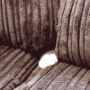 JNqB.gif