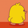 IMG_1125.gif