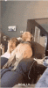 IMG_0598.gif
