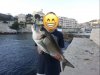 IMG_4356.jpeg