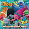 Bienvenue-chez-les-Trolls-.jpg