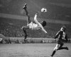 5eb150513863ef353e15db9ed3d7af65--futbol-soccer-football-soccer.jpg