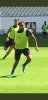 Screenshot_20190825-171103_Twitter.jpg