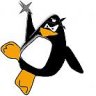 pingufu