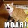 MiniGreg