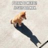 batman40
