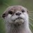 Ottermaster